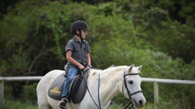 Un niño de siete años consigue comprar un poni tras vender limonada durante dos años