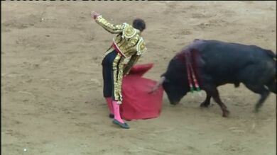 Los toreros esperan que las autoridades catalanas acaten la sentencia