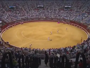 Frame 0.0 de: ¿Cómo afecta la sentencia del Constitucional sobre los toros a otras Comunidades? Frame 0.0 de: ¿Cómo afecta la sentencia del Constitucional sobre los toros a otras Comunidades?