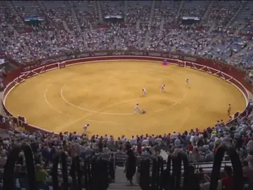 Frame 0.0 de: ¿Cómo afecta la sentencia del Constitucional sobre los toros a otras Comunidades? Frame 0.0 de: ¿Cómo afecta la sentencia del Constitucional sobre los toros a otras Comunidades?