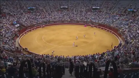 Frame 0.0 de: ¿Cómo afecta la sentencia del Constitucional sobre los toros a otras Comunidades? Frame 0.0 de: ¿Cómo afecta la sentencia del Constitucional sobre los toros a otras Comunidades?