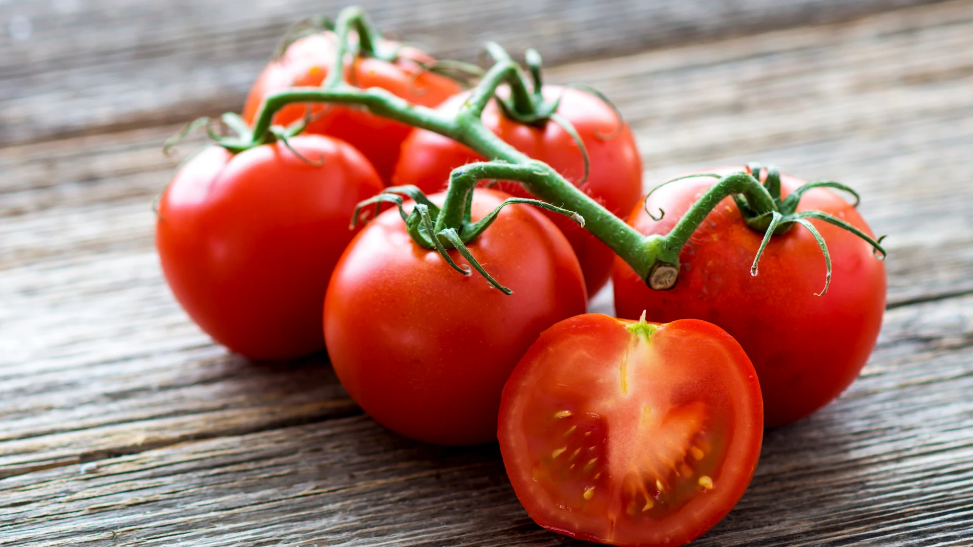 Tomates Tomates