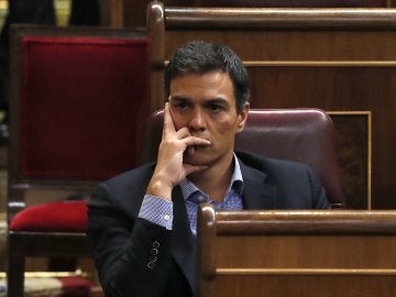 El exsecretario general del PSOE Pedro Sánchez