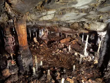 Estructura de la galería baja de la cueva de La Garma en Cantabria Estructura de la galería baja de la cueva de La Garma en Cantabria