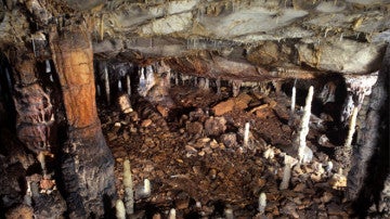 Estructura de la galería baja de la cueva de La Garma en Cantabria