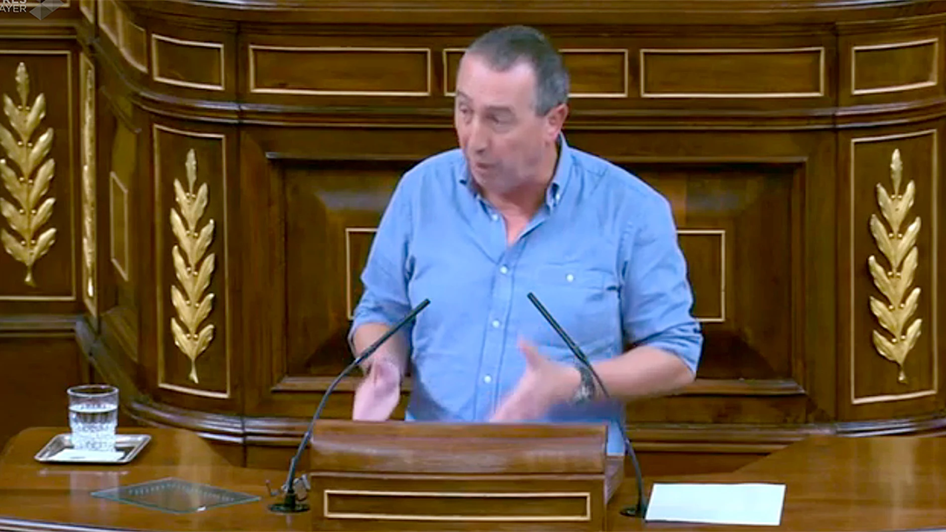 Joan Baldoví Joan Baldoví