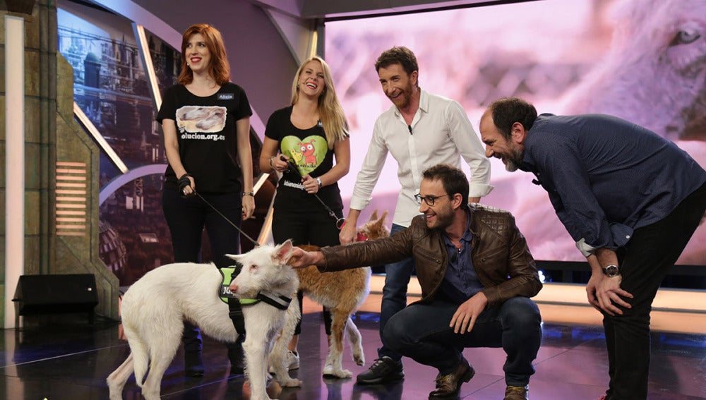¿Te gustaría adoptar a Tierra y Raíz?