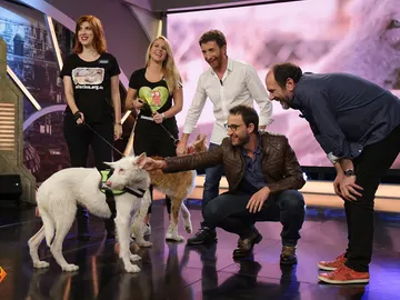 ¿Te gustaría adoptar a Tierra y Raíz? ¿Te gustaría adoptar a Tierra y Raíz?