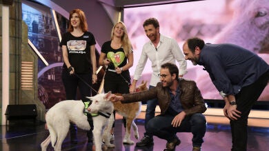 ¿Te gustaría adoptar a Tierra y Raíz?