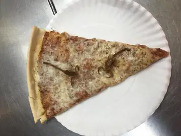 La legendaria pizza de escorpiones. La legendaria pizza de escorpiones.