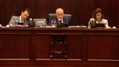 Frame 18.114551 de: El Cabildo grancanario, primera instituci&oacute;n que pide perd&oacute;n a beb&eacute;s robados