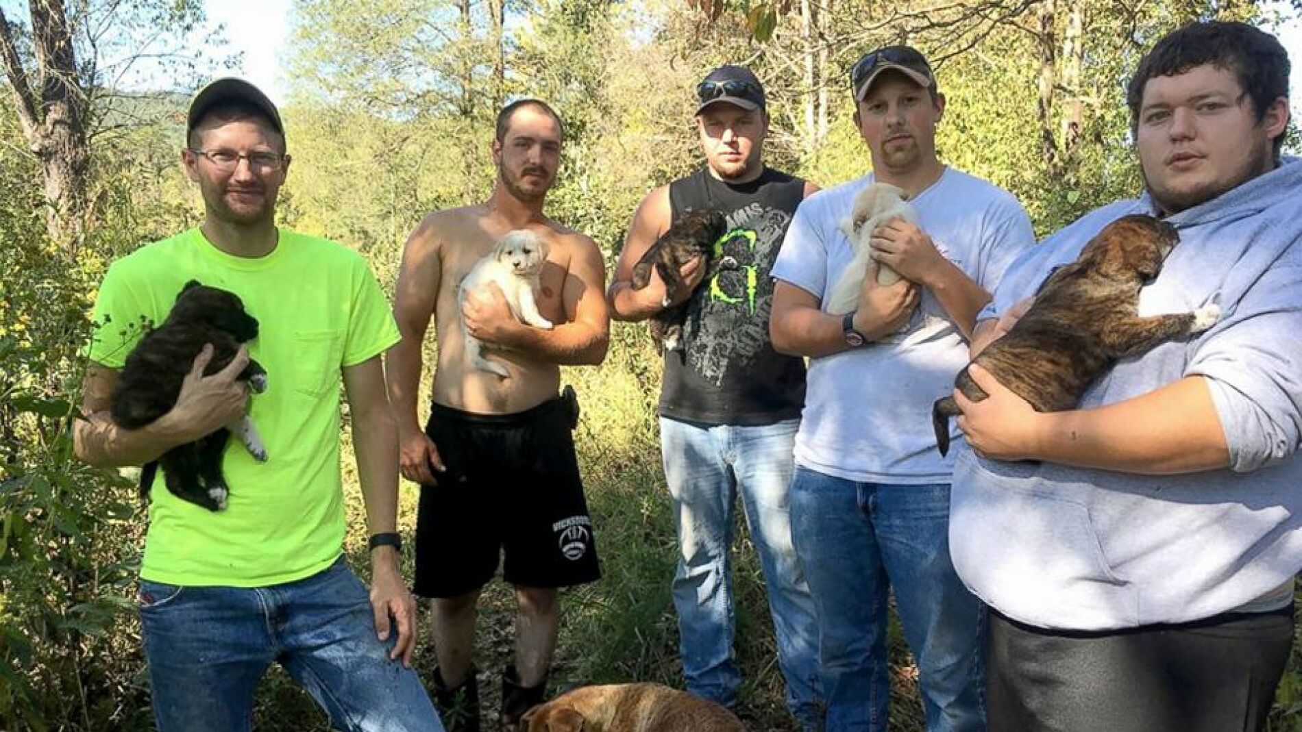 Grupo de amigos y cachorros 