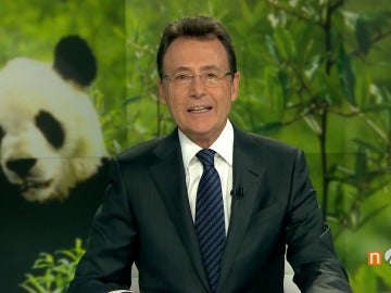 Matías Prats: ''Vaya panda''