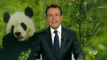 Matías Prats: ''Vaya panda''