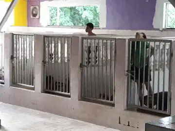 Habitáculos donde reside una decena de discapacitados mentales Habitáculos donde reside una decena de discapacitados mentales