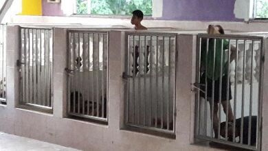 Denuncian a una residencia malasia por encerrar en cubículos a sus discapacitados mentales 