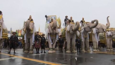 Frame 6.863906 de: Desfile de elefantes blancos como homenaje al monarca tailand&eacute;s fallecido