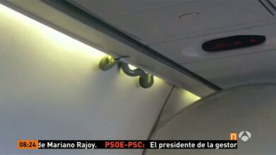 Encuentran una serpiente a bordo de un avión en México