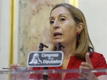 La presidenta del Congreso, Ana Pastor La presidenta del Congreso, Ana Pastor