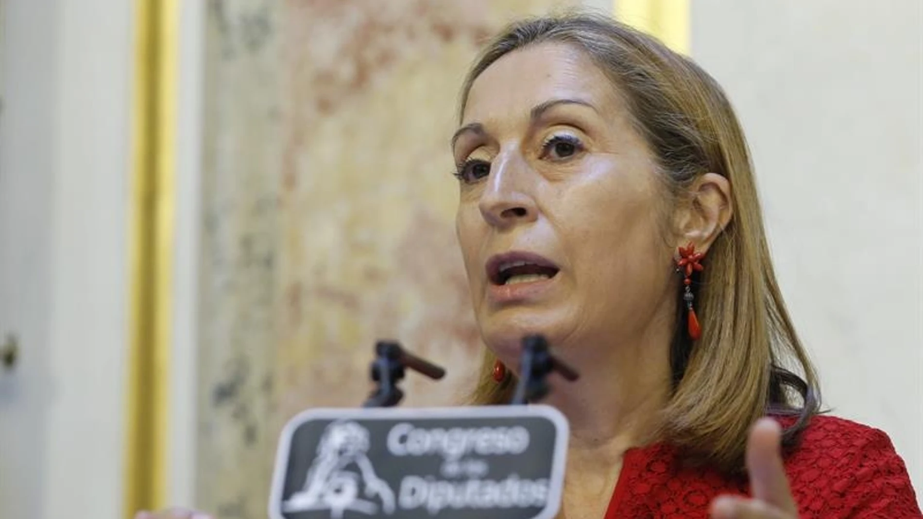 La presidenta del Congreso, Ana Pastor La presidenta del Congreso, Ana Pastor