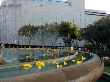 Fuente de Barcelona con patitos de goma