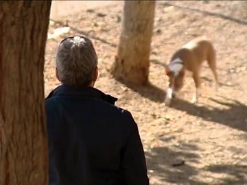 Frame 23.059602 de: Detectives rastrean las calles de Tarragona para identificar a los que no recogen la "caca" de sus perros