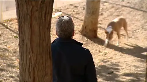 Frame 23.059602 de: Detectives rastrean las calles de Tarragona para identificar a los que no recogen la "caca" de sus perros Frame 23.059602 de: Detectives rastrean las calles de Tarragona para identificar a los que no recogen la "caca" de sus perros