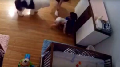 Un niño de nueve años salva a su hermano cuando éste se cae del cambiador 