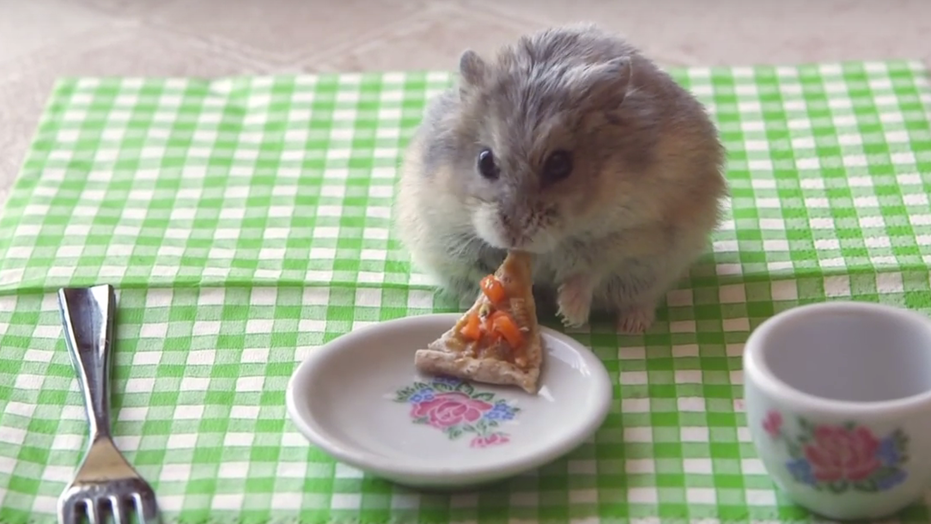 Nuestro amigo el hámster comiendo pizza.
