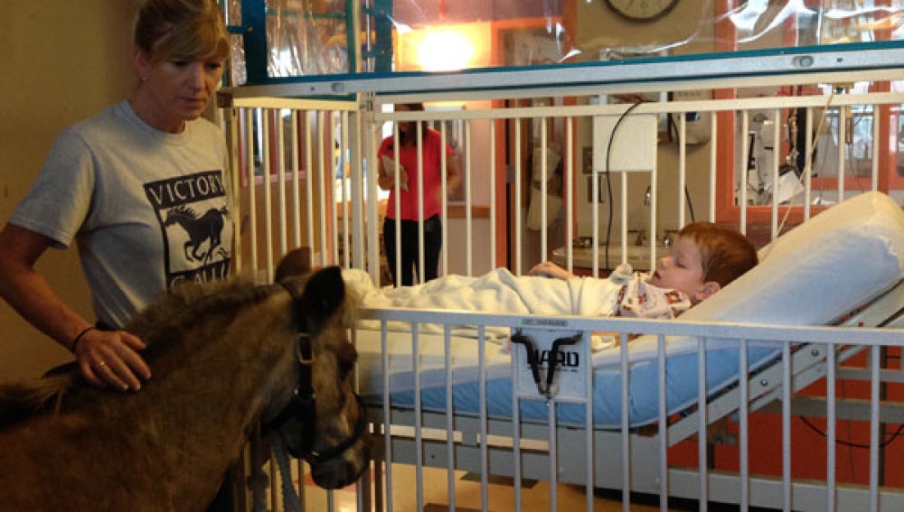 Petie ayuda a los niños de los hospitales