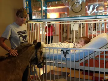 Petie ayuda a los niños de los hospitales Petie ayuda a los niños de los hospitales