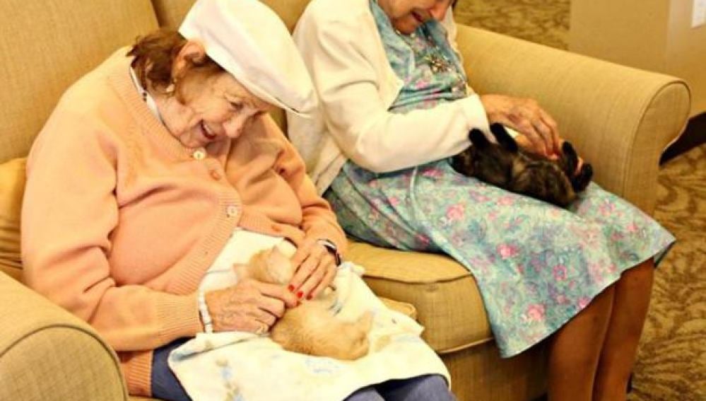 Ancianos de una residencia