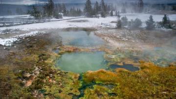 Aguas termales en Yellowstone