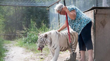 Un tigre vive en el jardín de una anciana en Texas