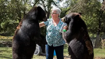 Bonnie Hart con sus osos Bonnie Hart con sus osos