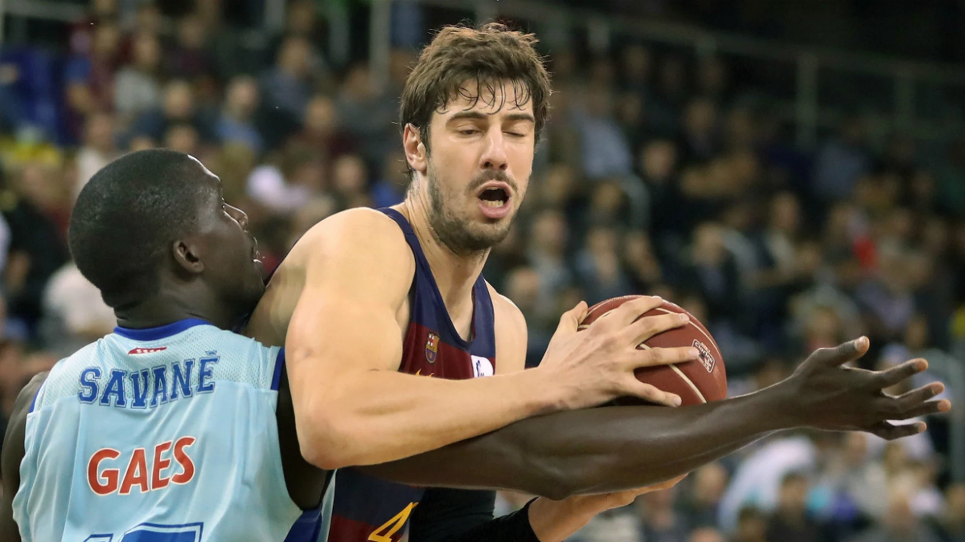 Tomic, ante Savane Tomic, ante Savane