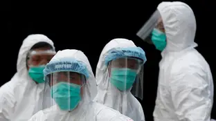 Operarios investigan el brote de gripe aviar Operarios investigan el brote de gripe aviar
