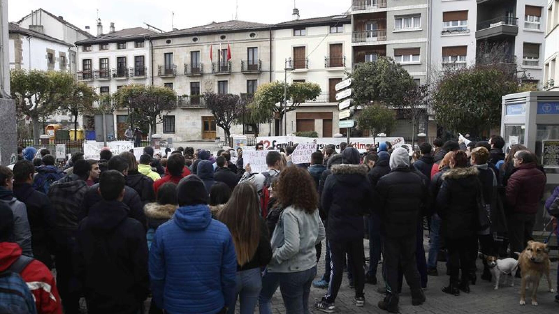 Manifestaci&oacute;n en apoyo de los detenidos en Alsasua