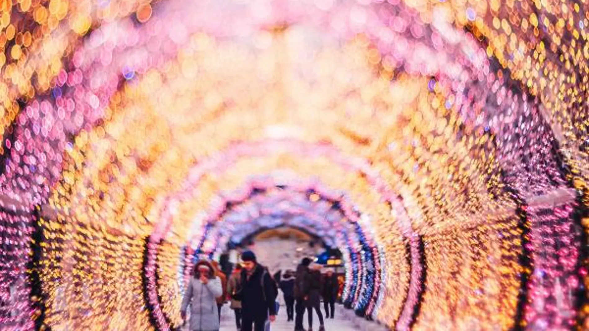 Túnel de luces en Norwich Túnel de luces en Norwich
