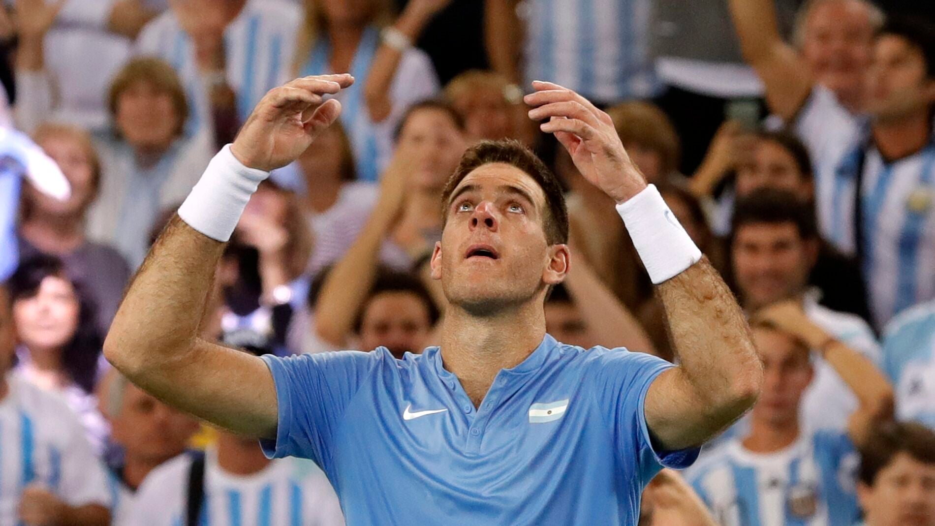 Del Potro celebrando su triunfo en la Copa Davis