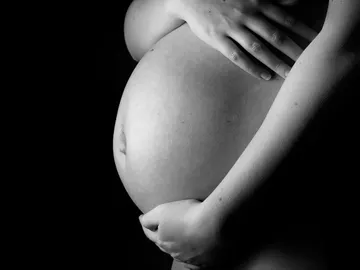 Embarazo Embarazo
