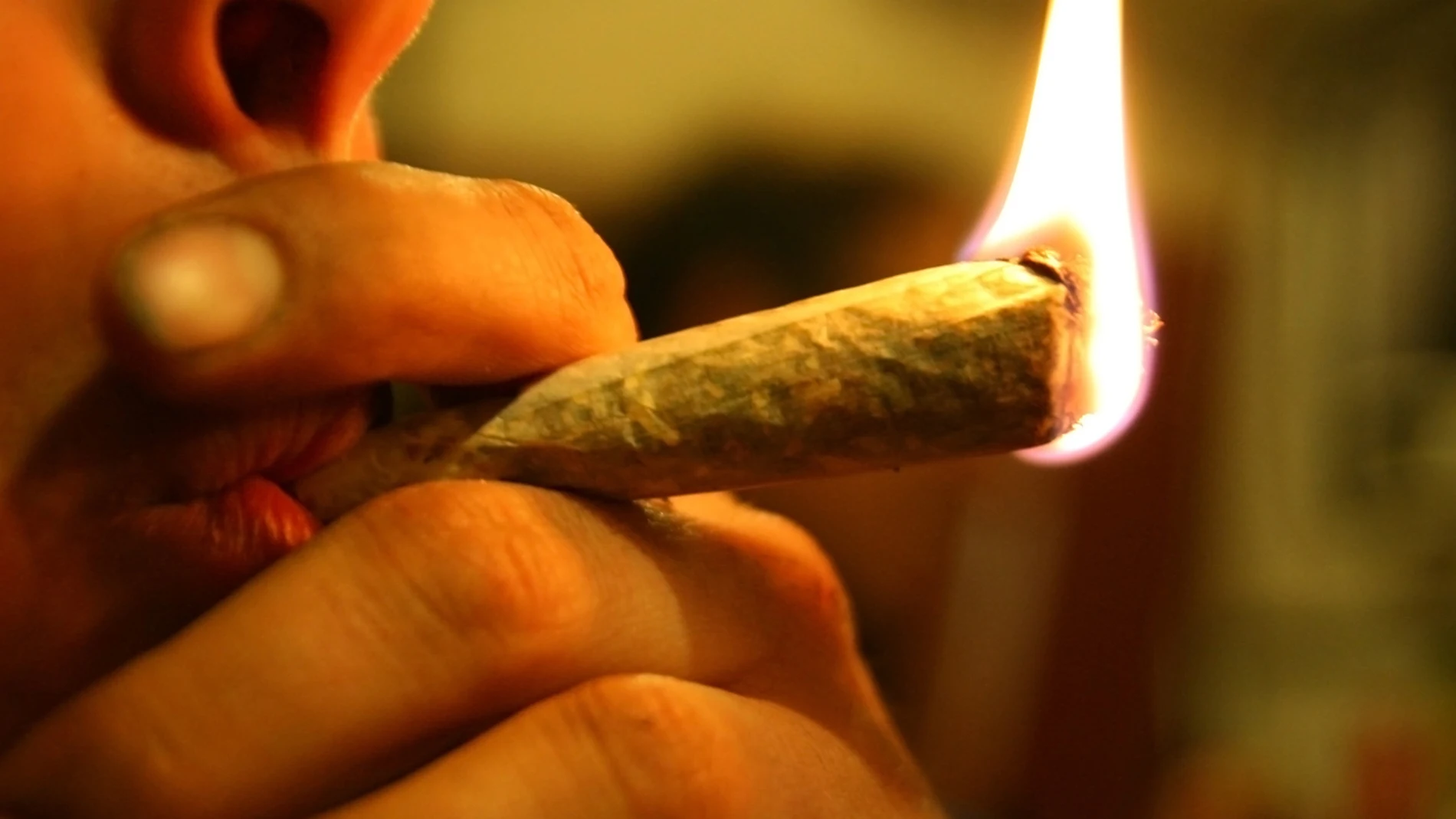 Consumidor de cannabis Consumidor de cannabis