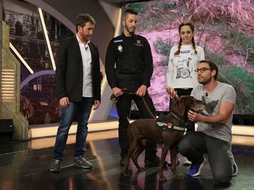 Adopta a Brus, el perro policía que se jubila tras años de servicio Adopta a Brus, el perro policía que se jubila tras años de servicio