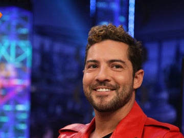 David Bisbal aclara que pasó realmente con la 'cobra'