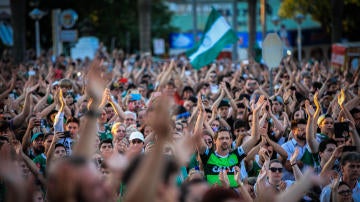 Los aficionados del Chapecoense homenajean a los fallecidos en el accidente aéreo