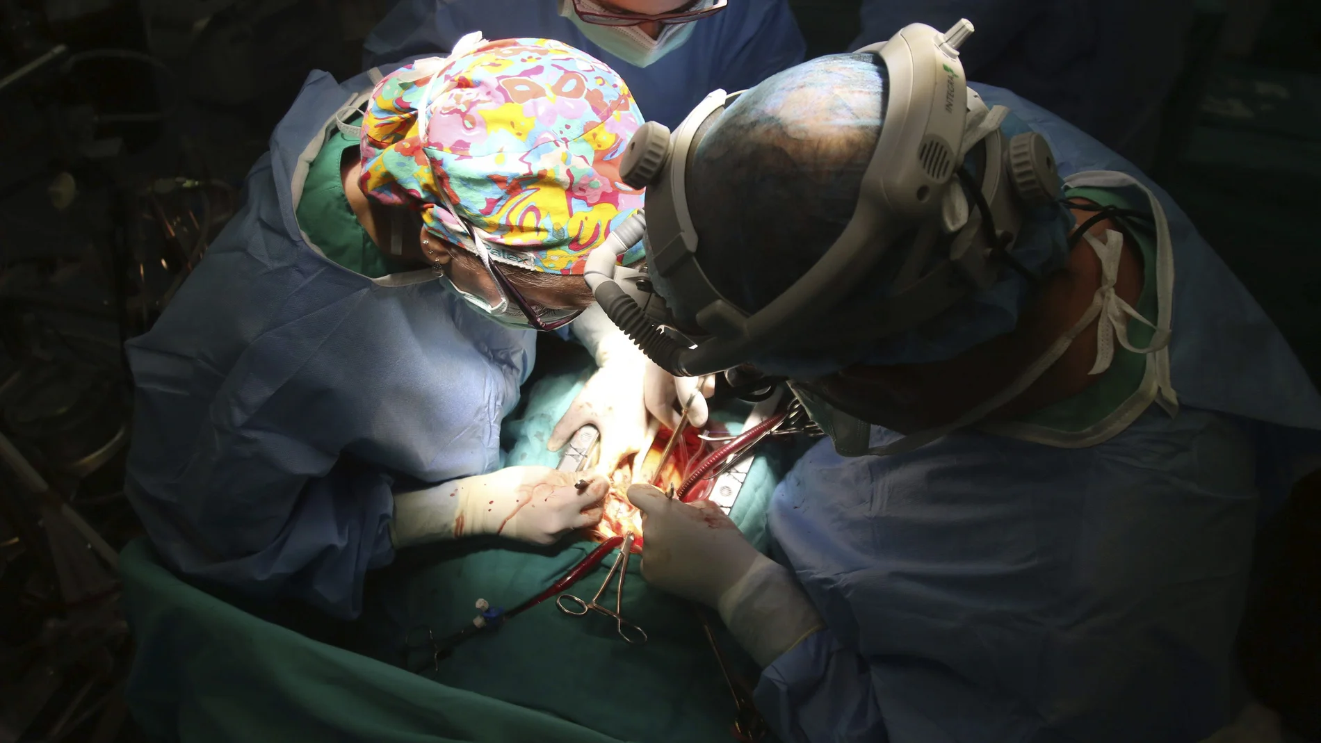Un quirófano durante un trasplante Un quirófano durante un trasplante