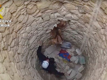 Rescate de tres galgos en un pozo de Osuna