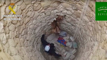 Rescate de tres galgos en un pozo de Osuna