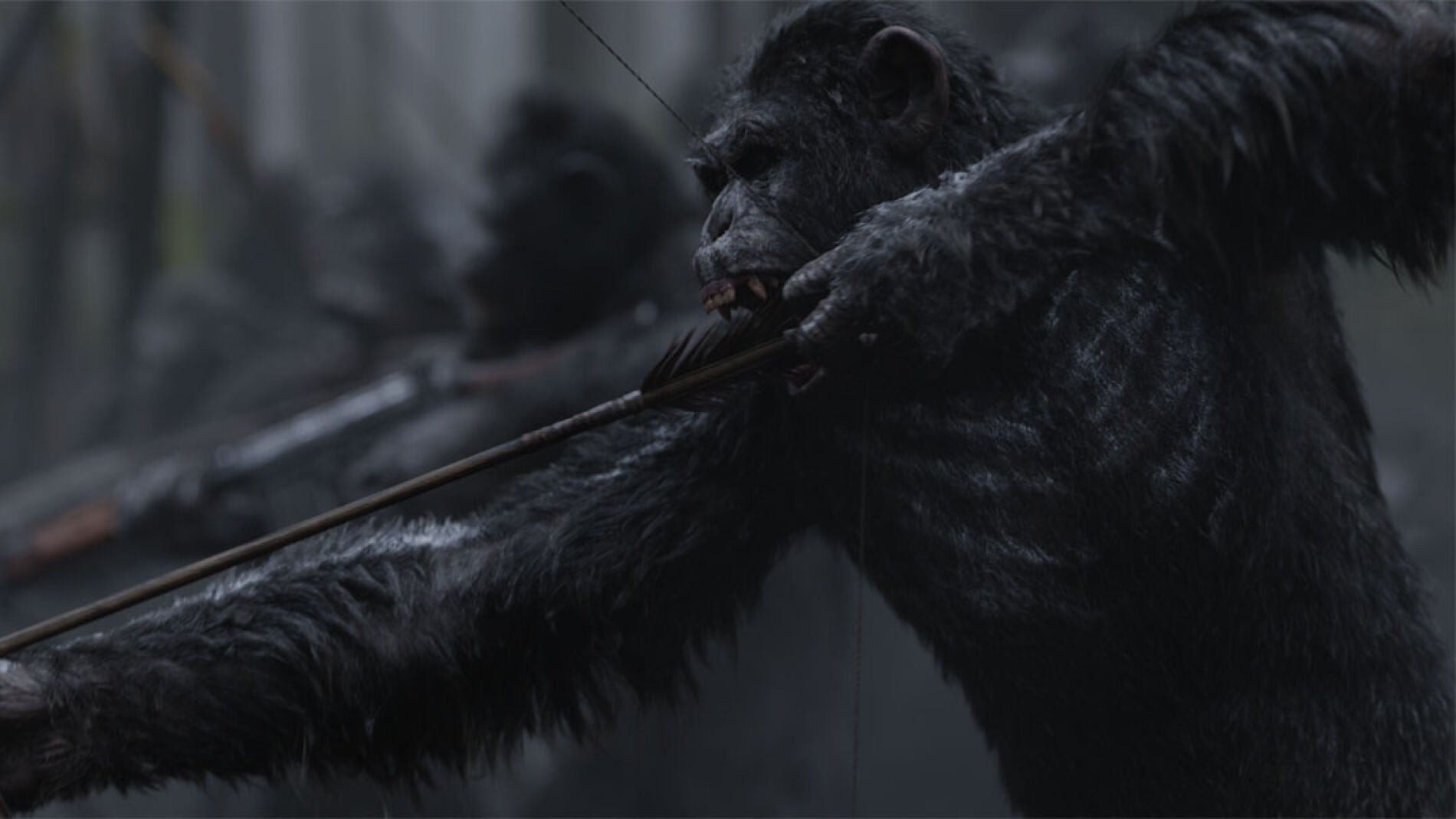 Imagen de 'Guerra por el Planeta de los Simios'