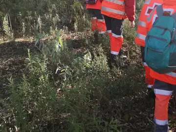 Efectivos de la Cruz Roja realizan una batida en Monesterio Efectivos de la Cruz Roja realizan una batida en Monesterio